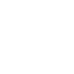 Pixune-logo