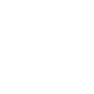 Xenon-Logo